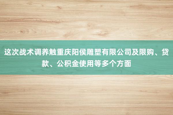 这次战术调养触重庆阳侯雕塑有限公司及限购、贷款、公积金使用等多个方面