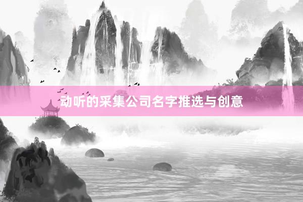 动听的采集公司名字推选与创意