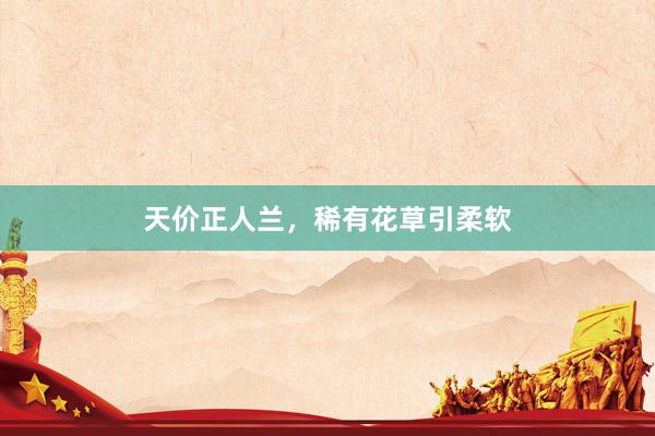 天价正人兰，稀有花草引柔软