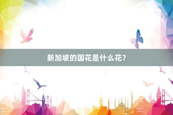 新加坡的国花是什么花？