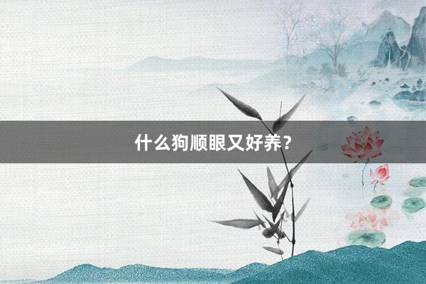 什么狗顺眼又好养？