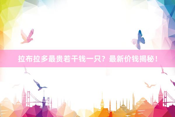 拉布拉多最贵若干钱一只？最新价钱揭秘！